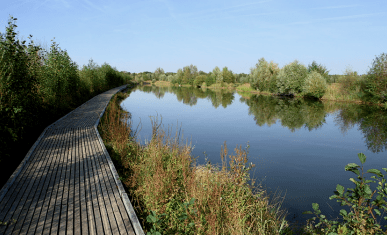 Plan d'eau d'un espace naturel sensible