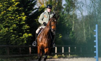 Un cavalier sur un cheval