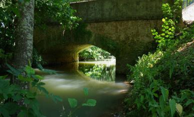 Un cours d'eau qui passe sous un pont dans une forêt