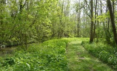 Espace naturel sensible Les îles de l'Orvanne