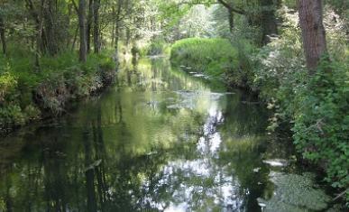 Espace naturel sensible Les Bordes Chalonges