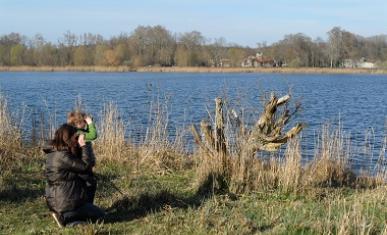 Espace naturel sensible - Le marais de Cercanceau