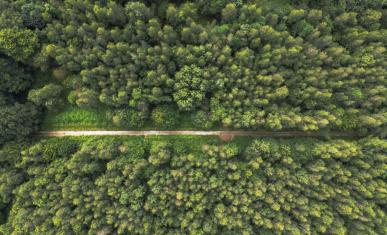 Le Bois de Doue en Seine-et-Marne