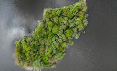 Une île boisée en Seine-et-Marne vue du ciel