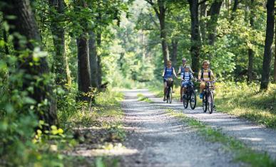 Famille qui se promène à vélo