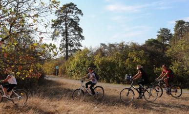 Des cyclistes en pleine nature en Seine-et-Marne