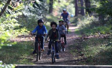 Vélo forêt Fontainebleau