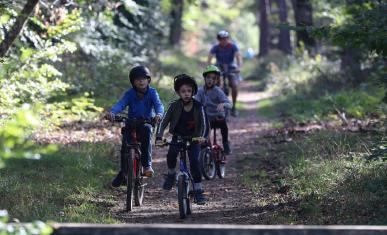 Vélo forêt Fontainebleau 