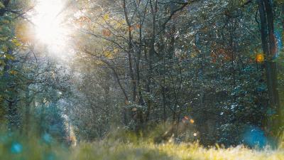 Espace naturel sensible du bois de la Rochette