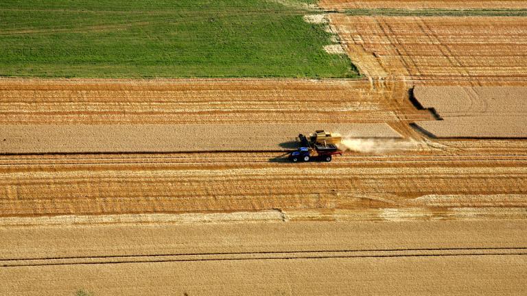 Moisson d'un champ de céréales