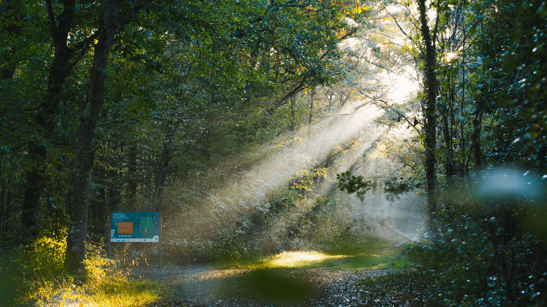 Chemin de promenade