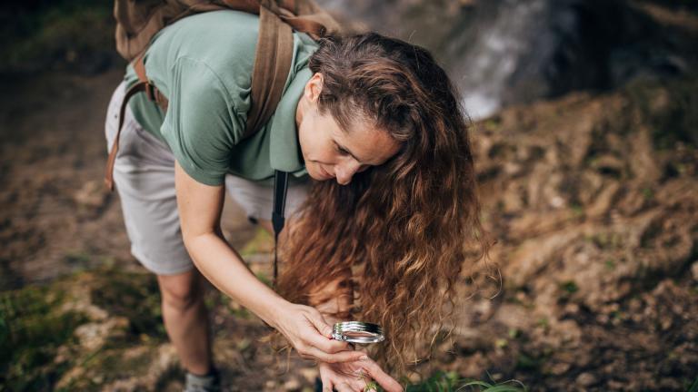 Une chercheuse naturaliste examinant une plante dans une forêt