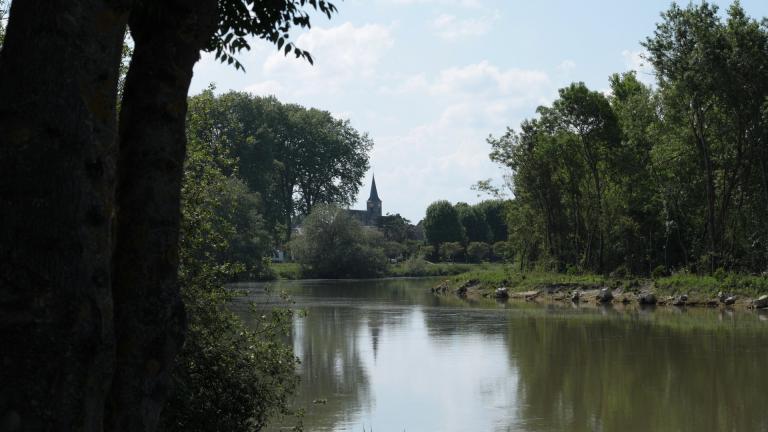 Cours d'eau le long d'une forêt