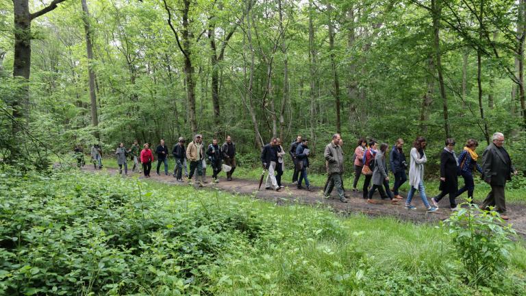 Un groupe de randonneurs sur un chemin de la forêt de Dammarie-Les-Lys
