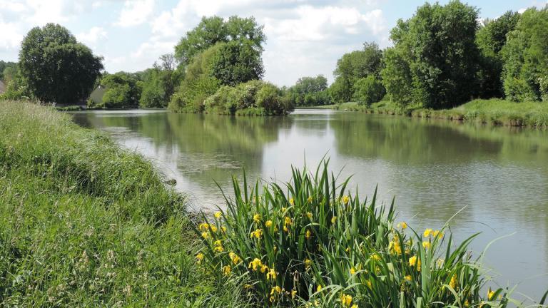 la rivière L'Orvanne