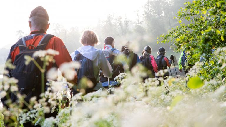 groupe de promeneurs en pleine nature