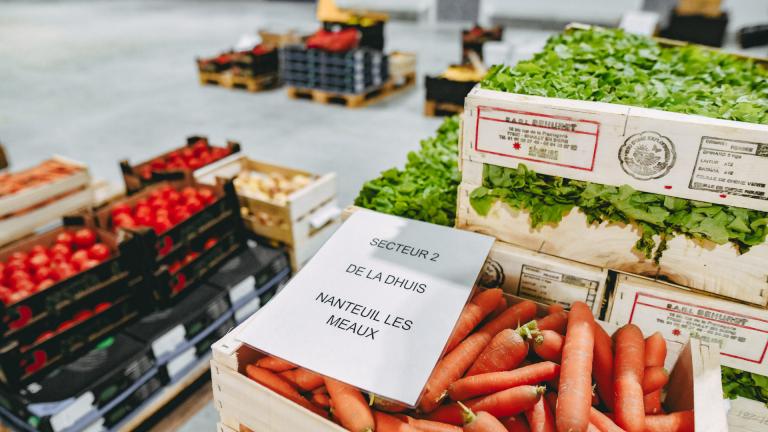 Carottes et salades d'un producteur seine-et-marnais