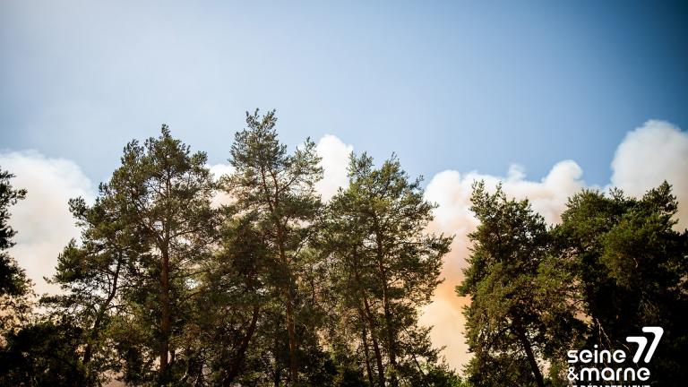 Forêt de Fontainebleau en feu