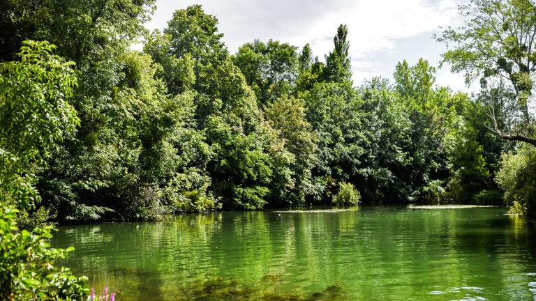 Un étang en Seine-et-Marne