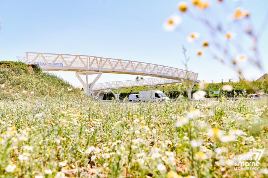 Passerelle Melun-Voisenon