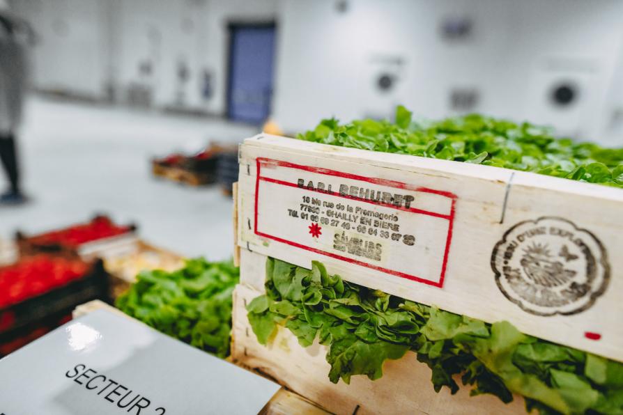 Salade provenant de l'agriculture locale