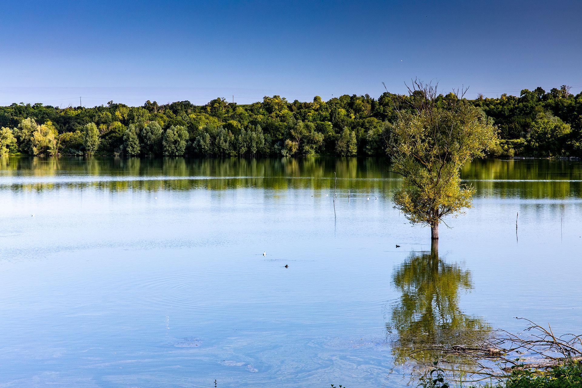https://www.seine-et-marne.fr/sites/default/files/styles/300x300/public/media/images/bg_ens-les-olivettes-0101.jpg?itok=PW5g9E6O