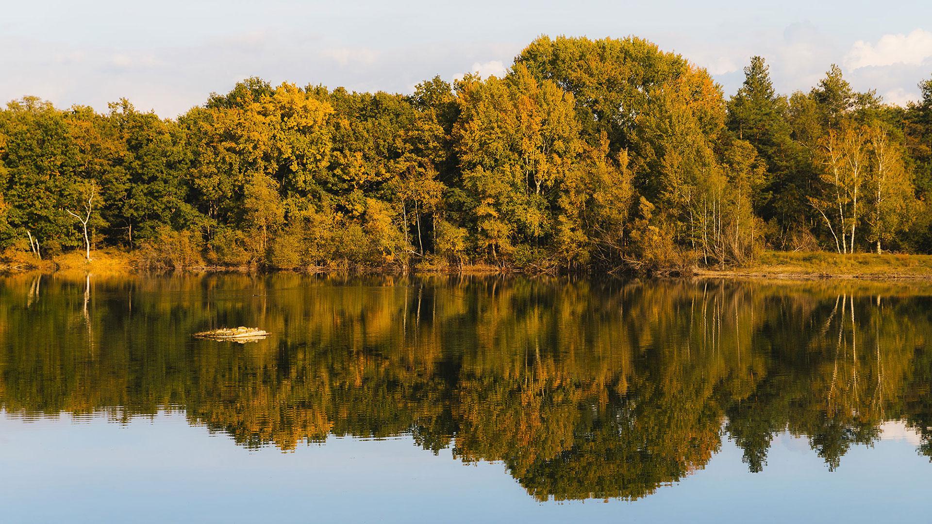 https://www.seine-et-marne.fr/sites/default/files/styles/300x300/public/media/images/ens-plaine-sorques-2020-environnement-1.jpg?itok=DnbmobNL