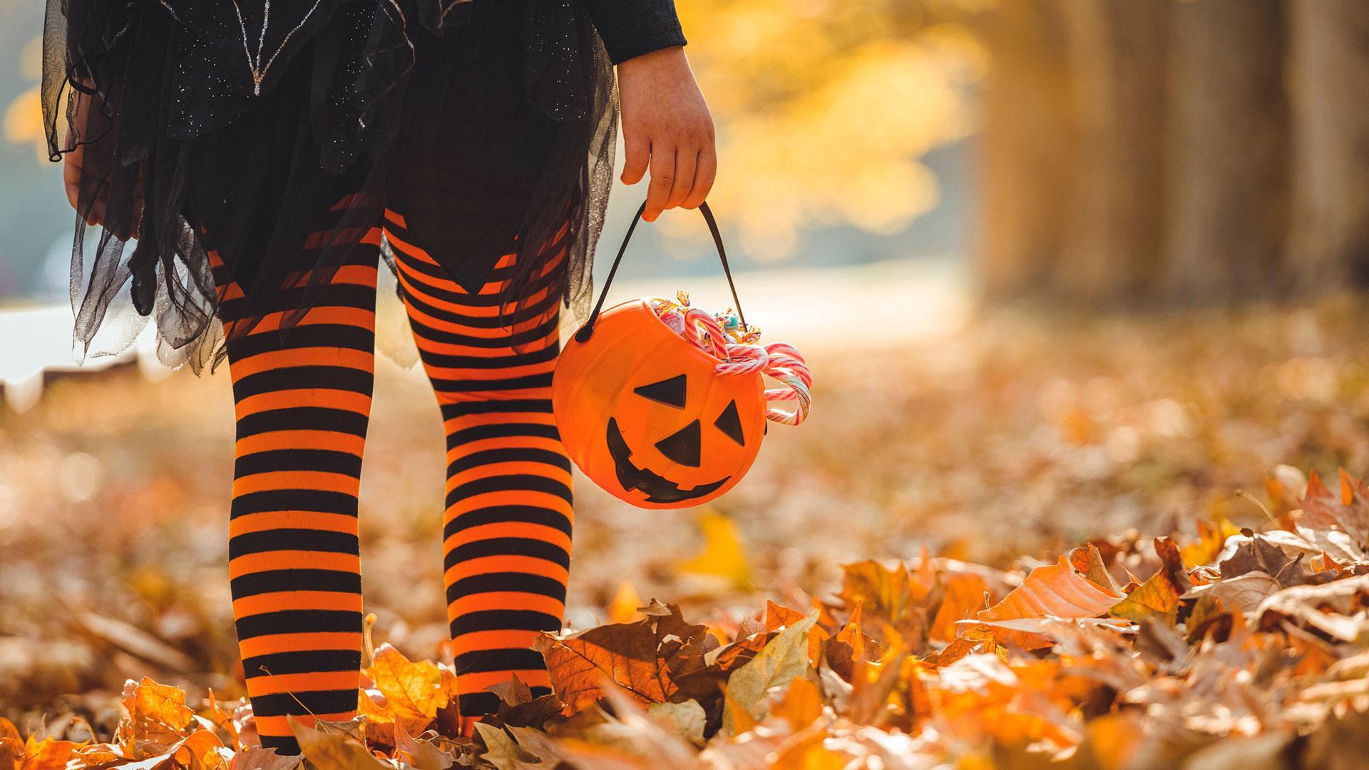 https://www.seine-et-marne.fr/sites/default/files/styles/300x300/public/media/images/agenda-halloween.jpg?itok=avUcHKEl