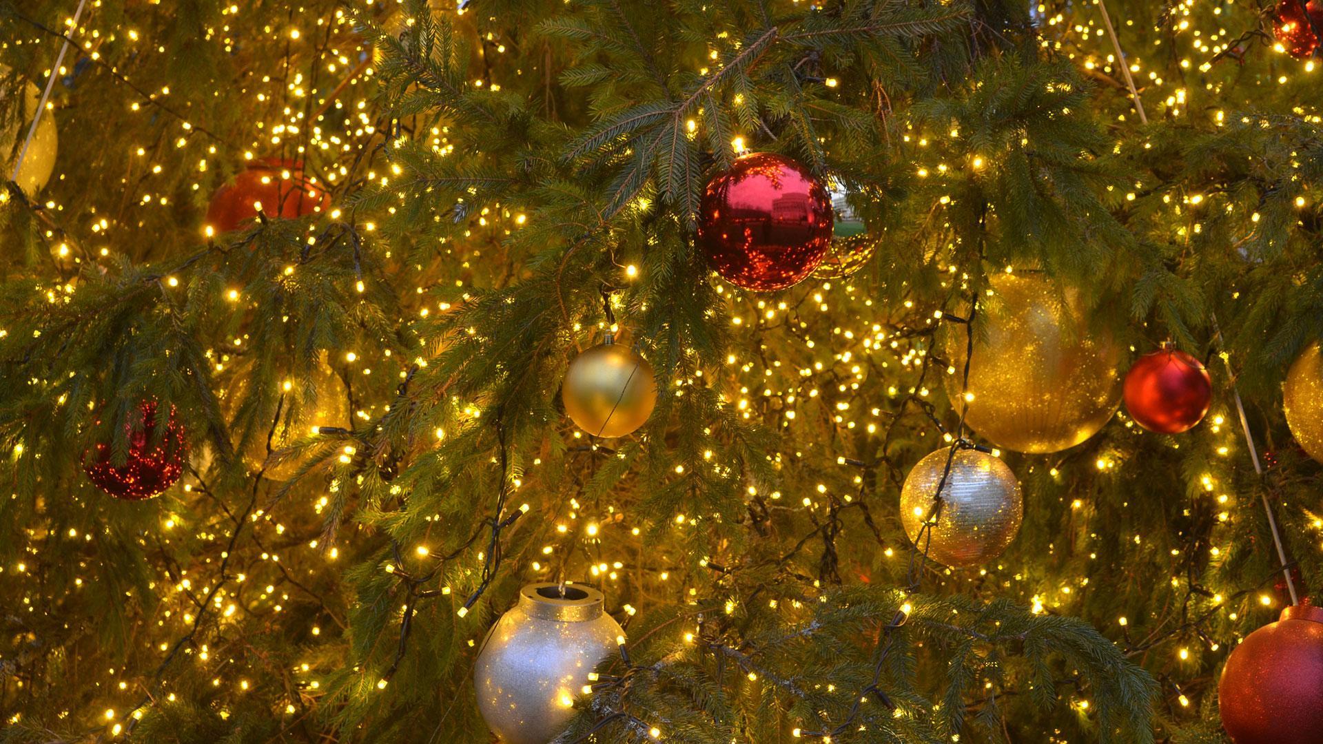 https://www.seine-et-marne.fr/sites/default/files/styles/300x300/public/media/images/visuel-noel-mallarme-l.png?itok=PEXvlSZk