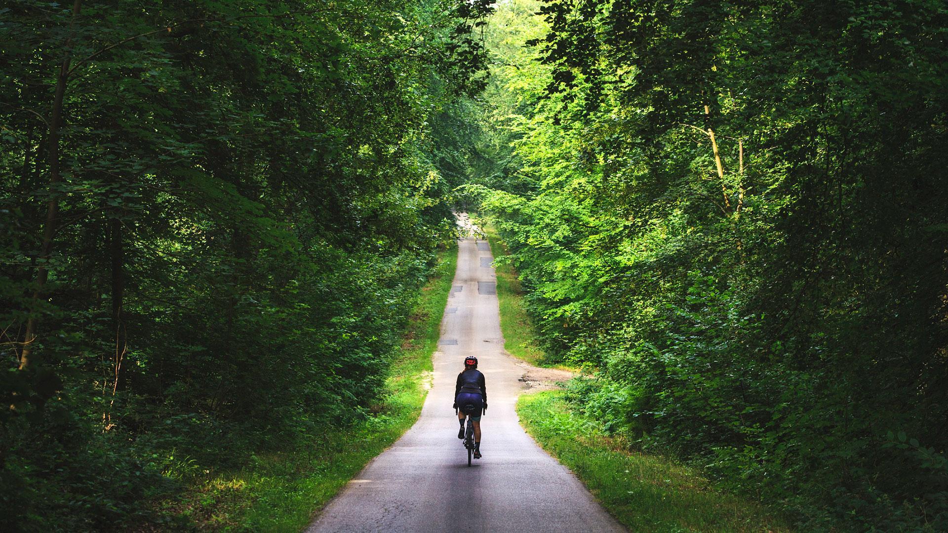 https://www.seine-et-marne.fr/sites/default/files/styles/300x300/public/media/images/velo-sport-mobilites-nature.jpg?itok=shVFsuza